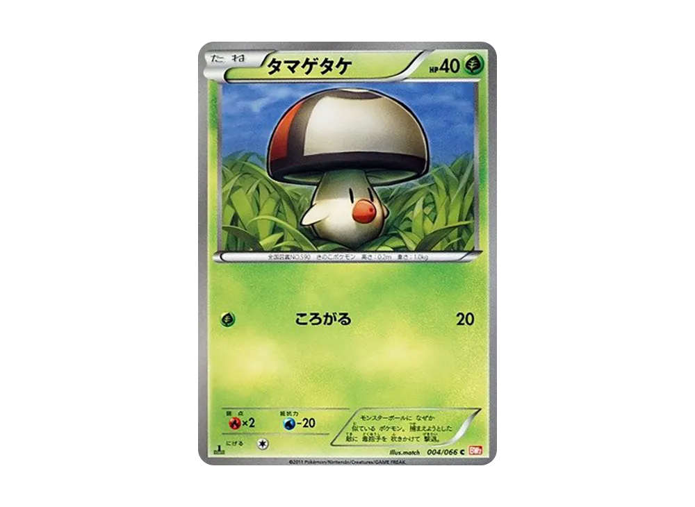 タマゲタケ C :1ED [BW2 004/066](拡張パック「レッドコレクション」)