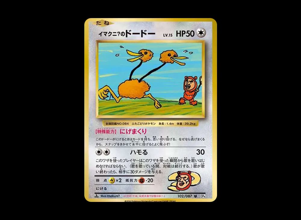 イマクニ?のドードー