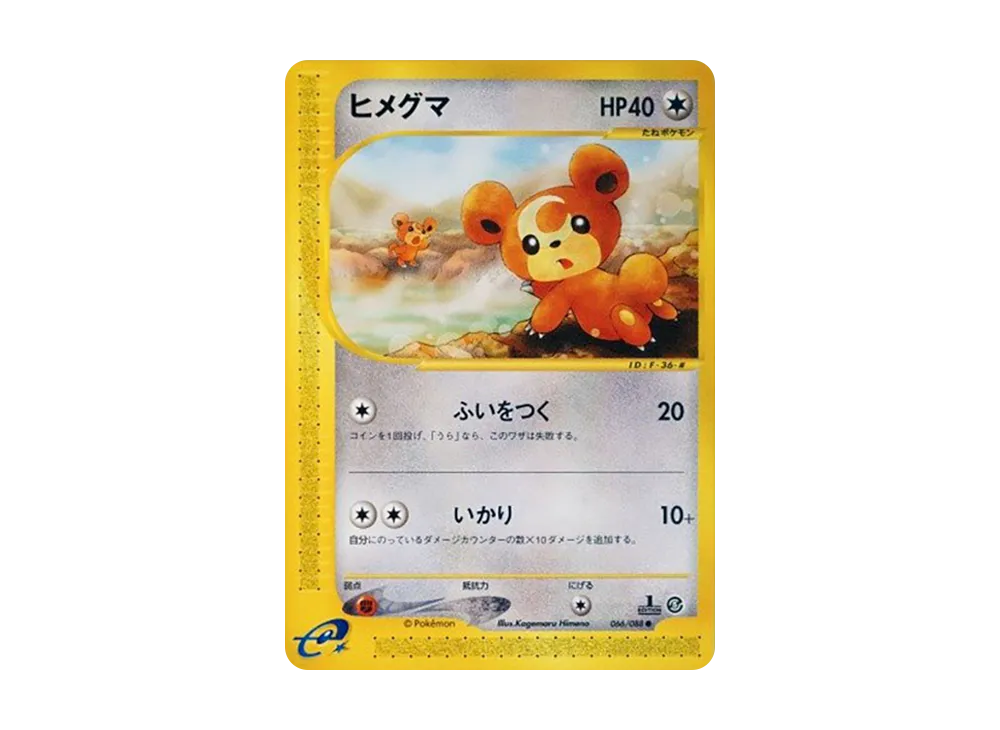 ヒメグマ