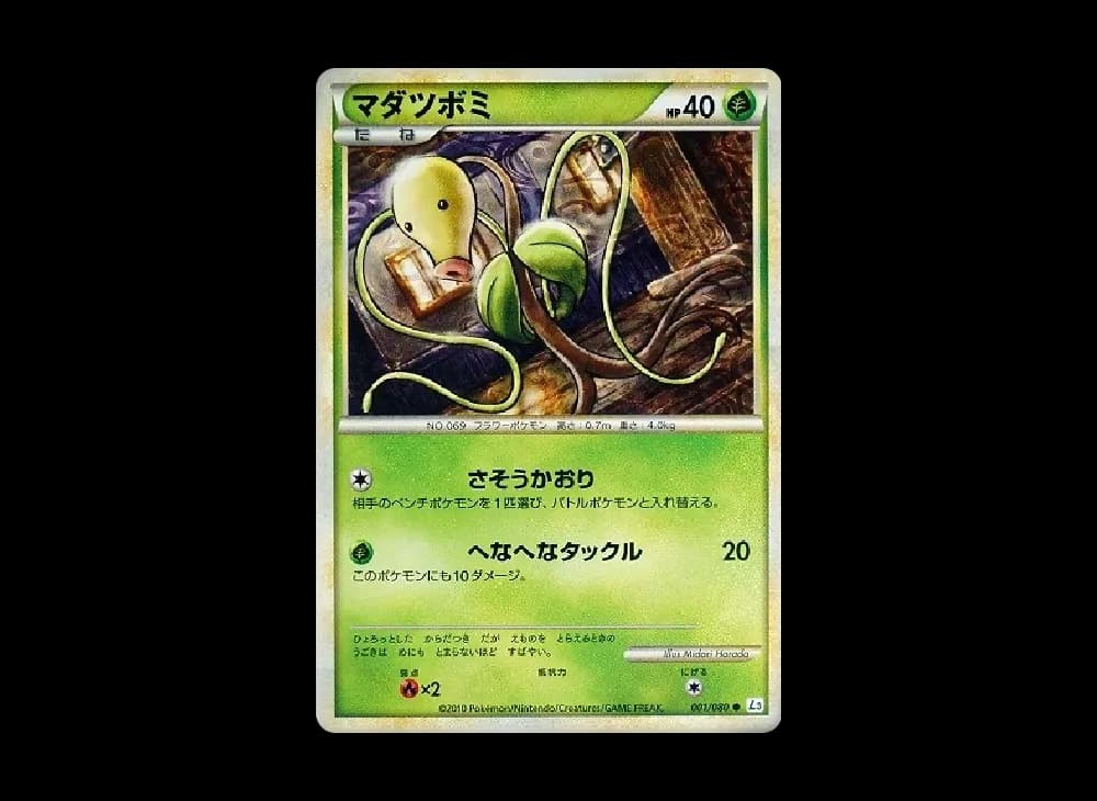 マダツボミ