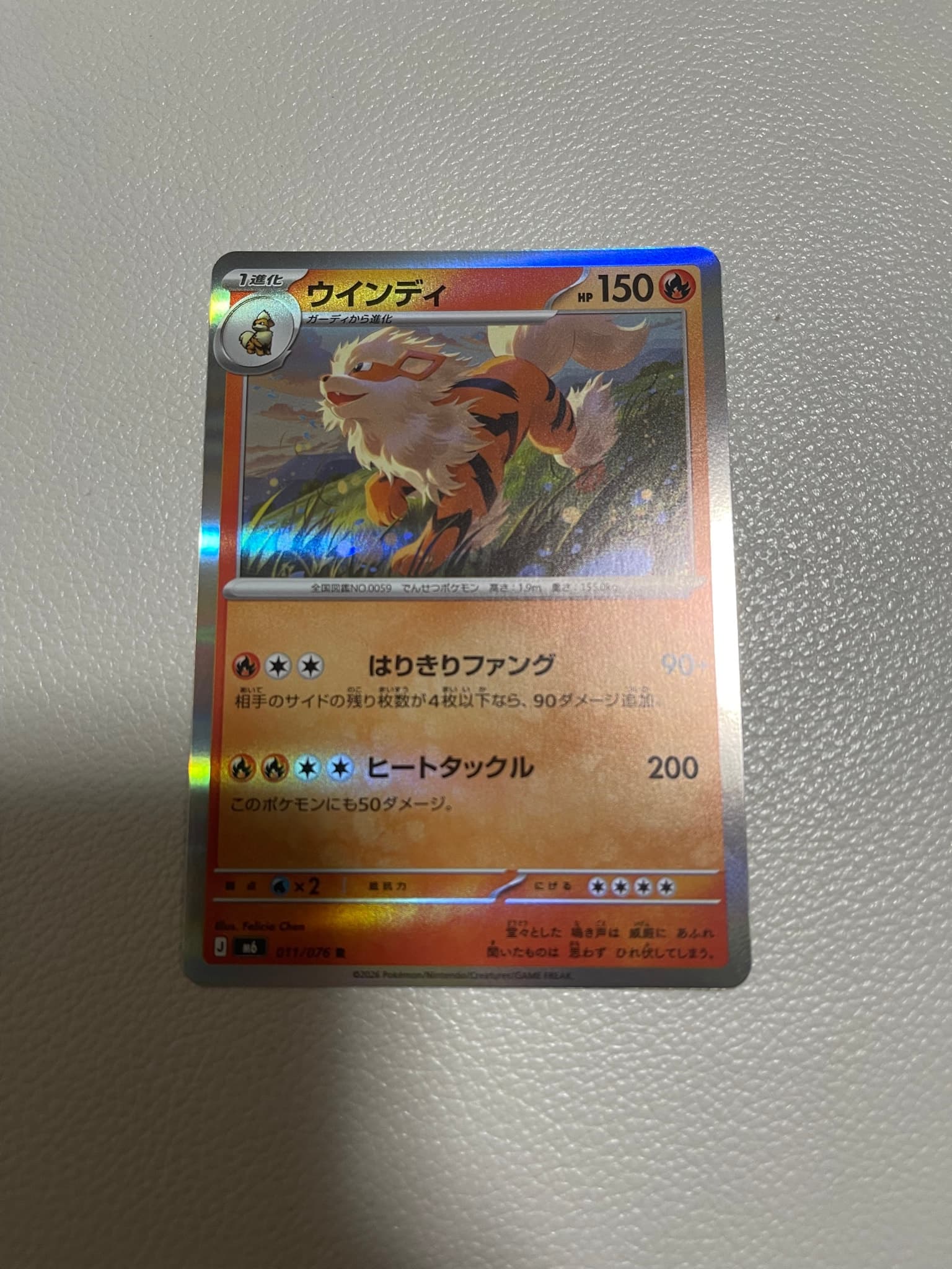 ウインディ