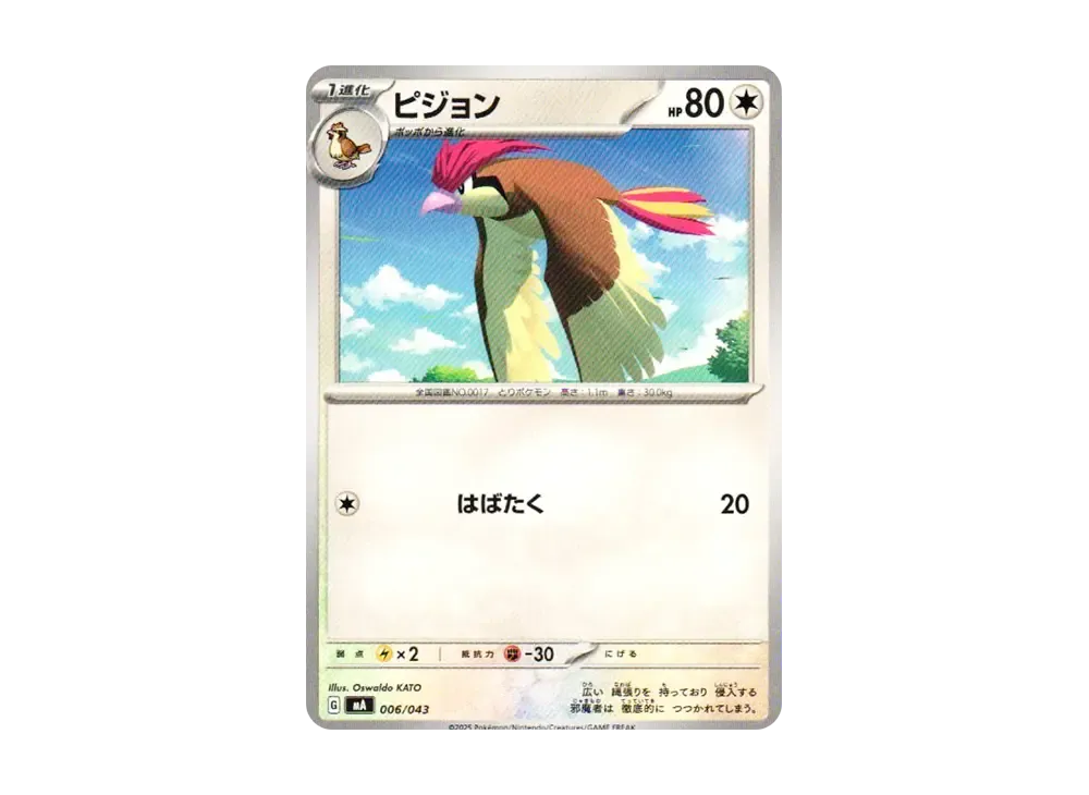 ピジョン [MA 006/043](プレミアムトレーナーボックス「MEGA」)
