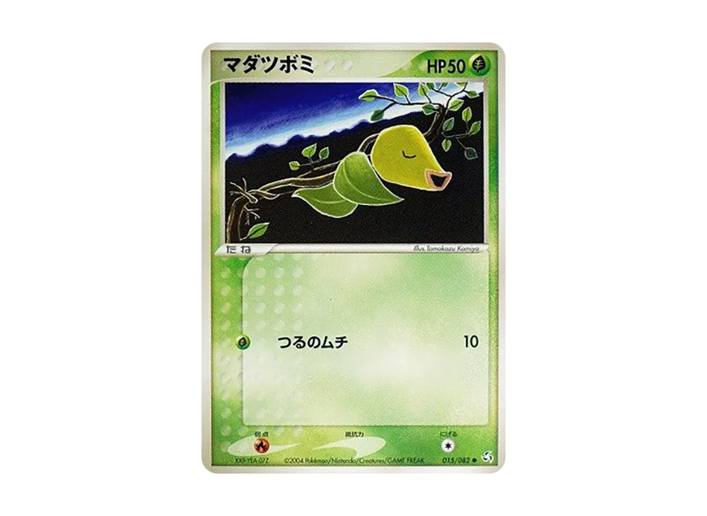 マダツボミ
