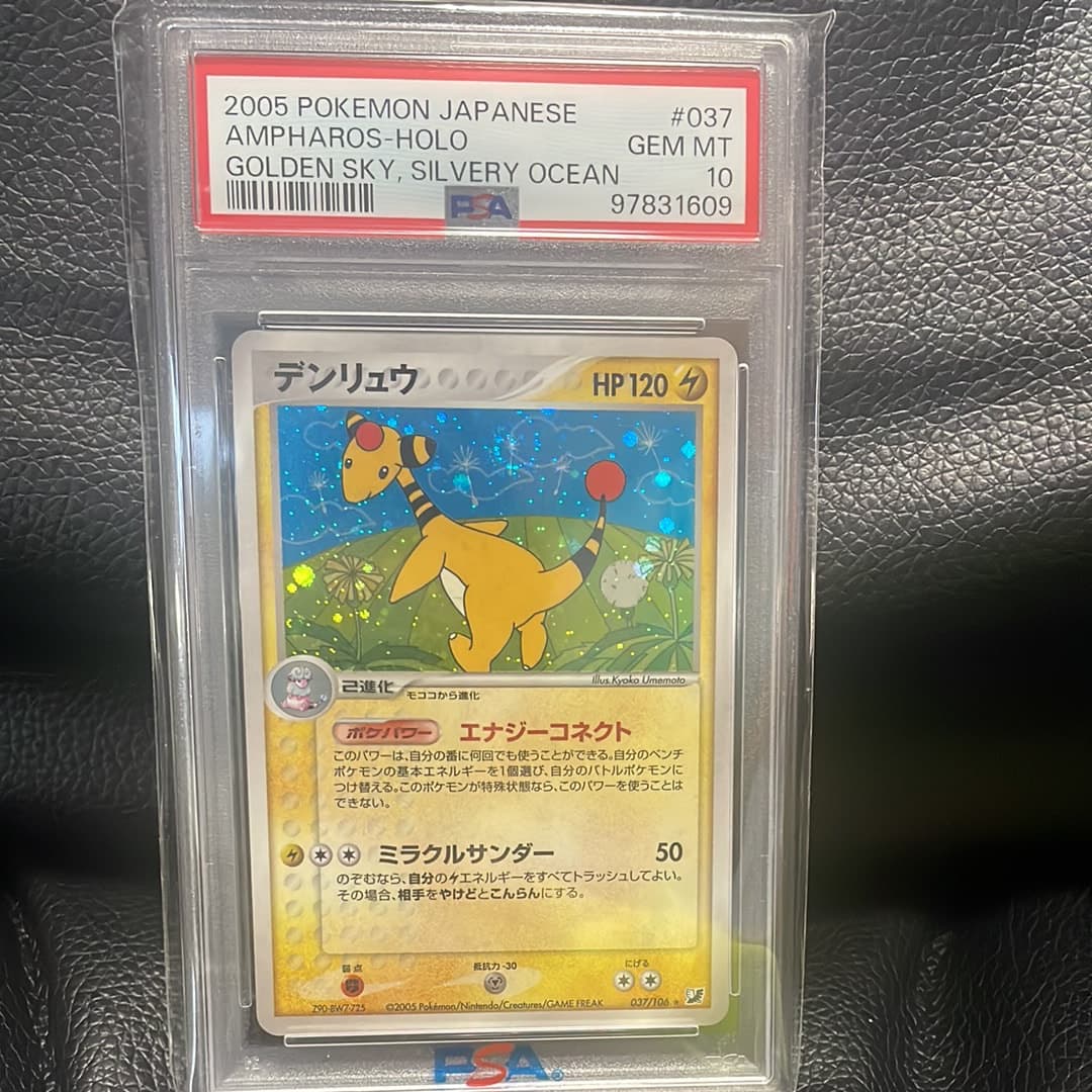 デンリュウ