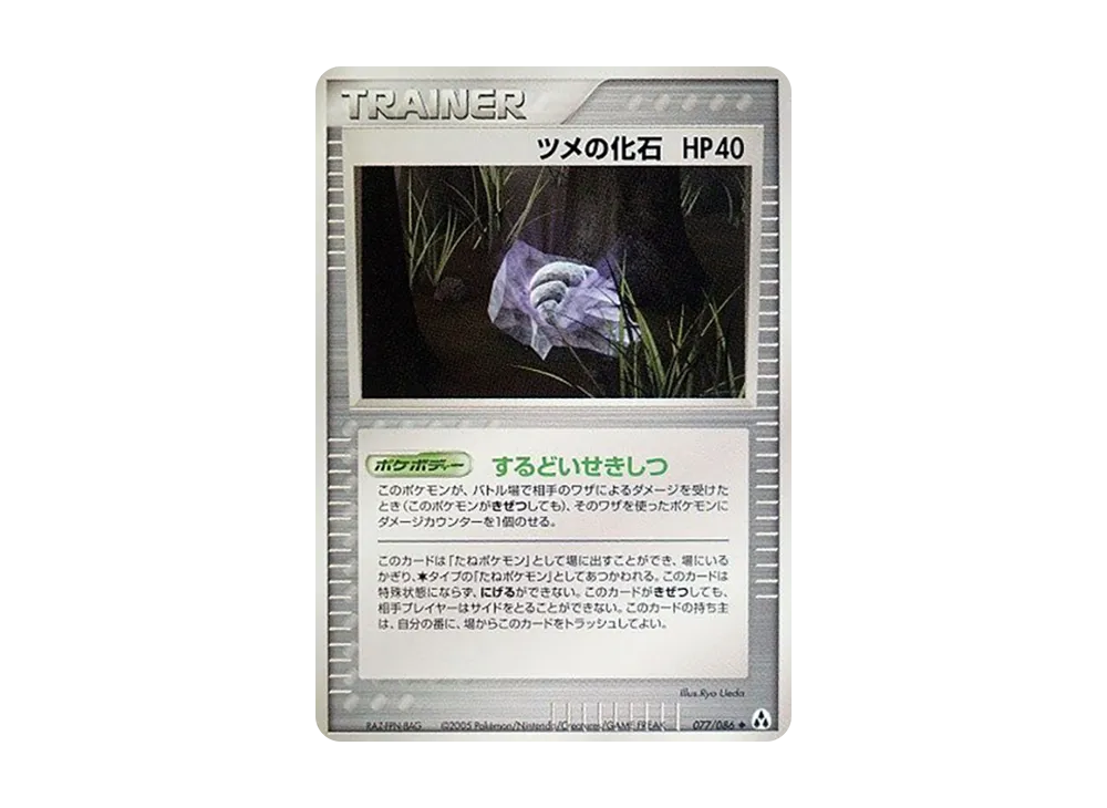 爪の化石