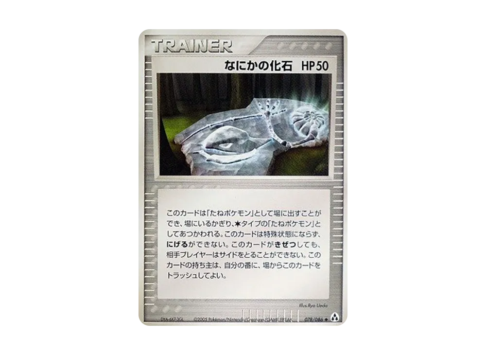 神秘的な化石