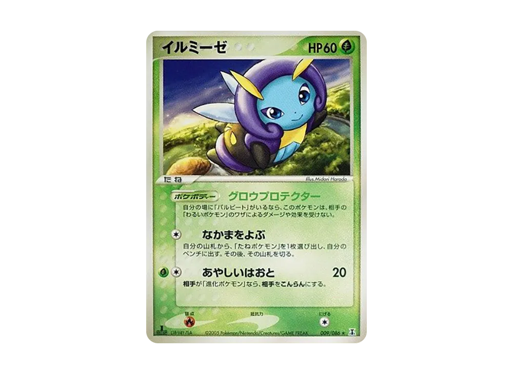 照らされます