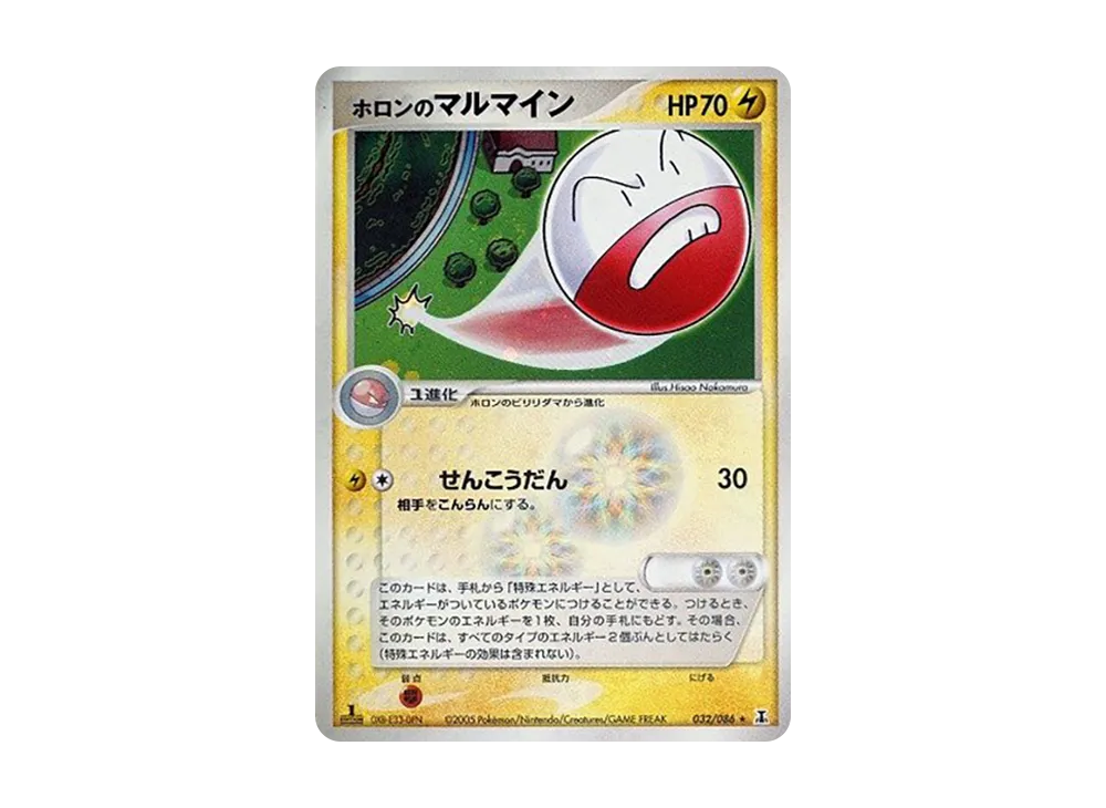 ホロンの電極