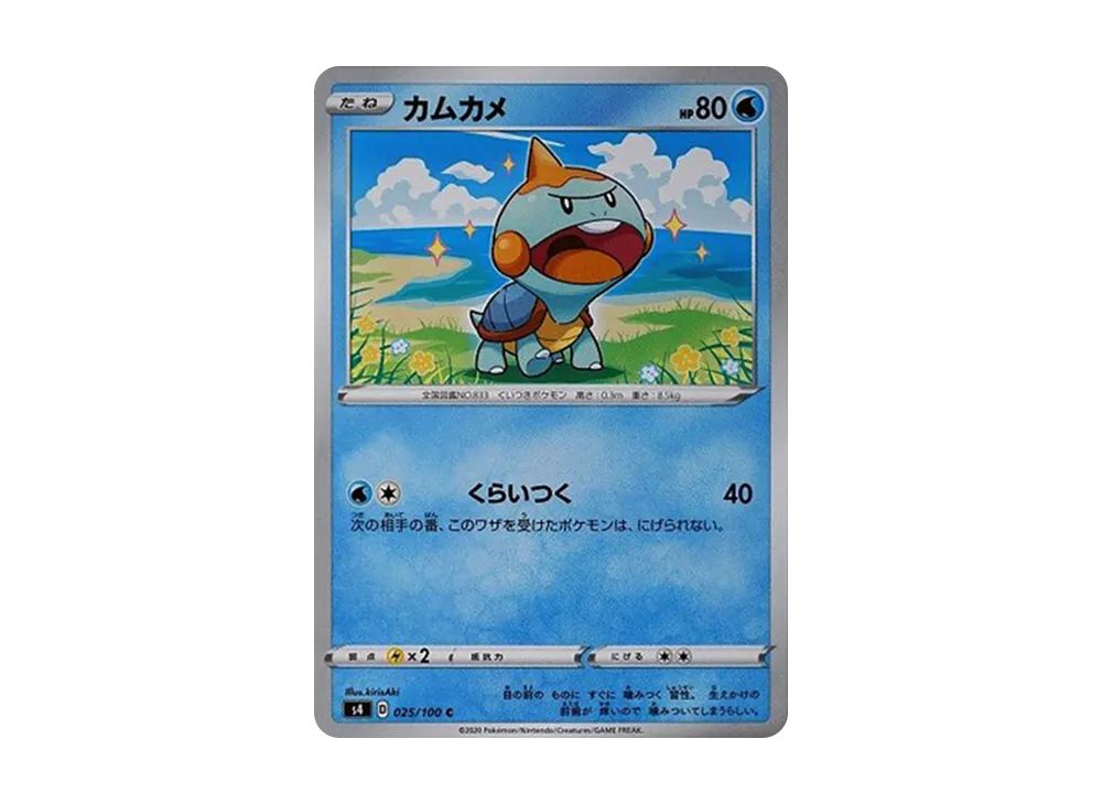 カムカメ