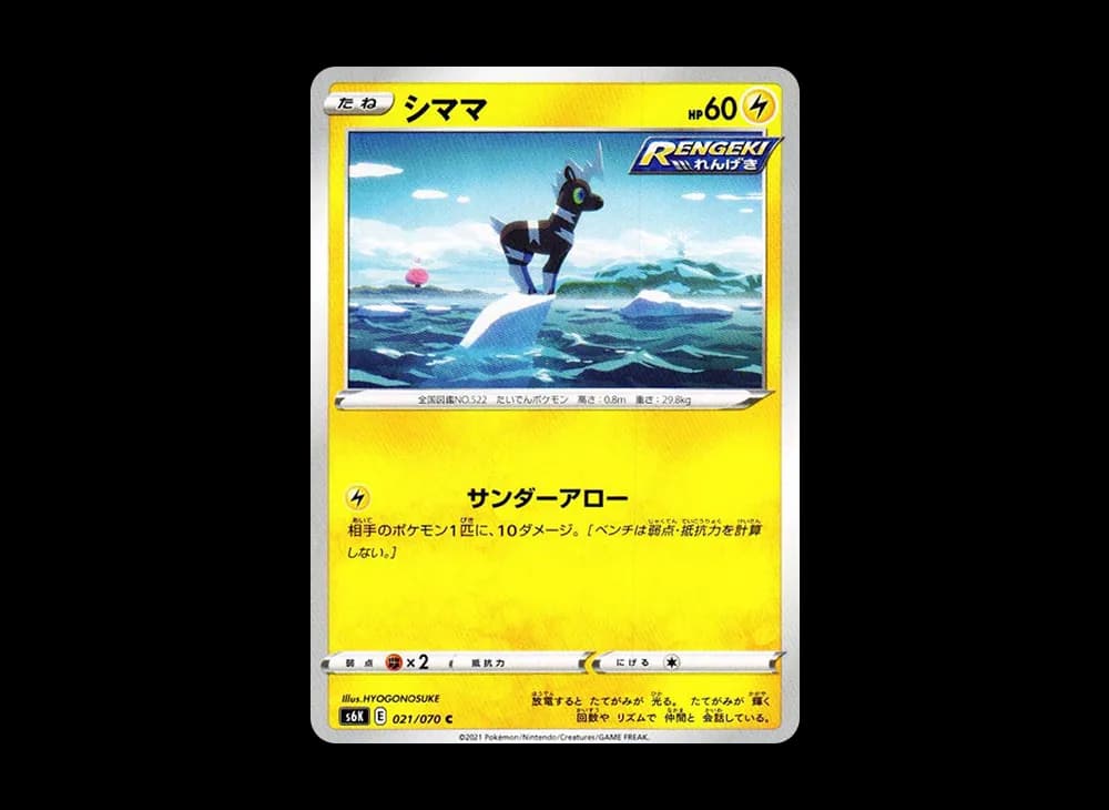 シママ
