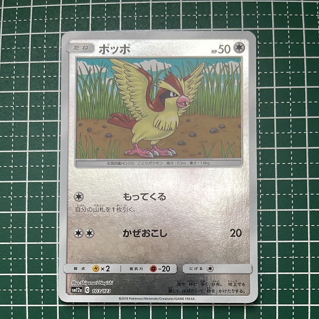 ポッポ
