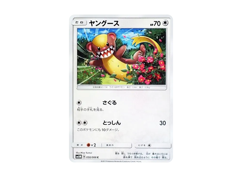 ヤングース