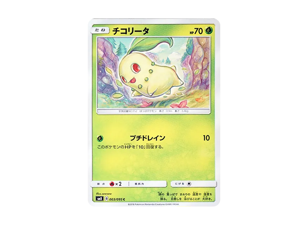 チコリータ