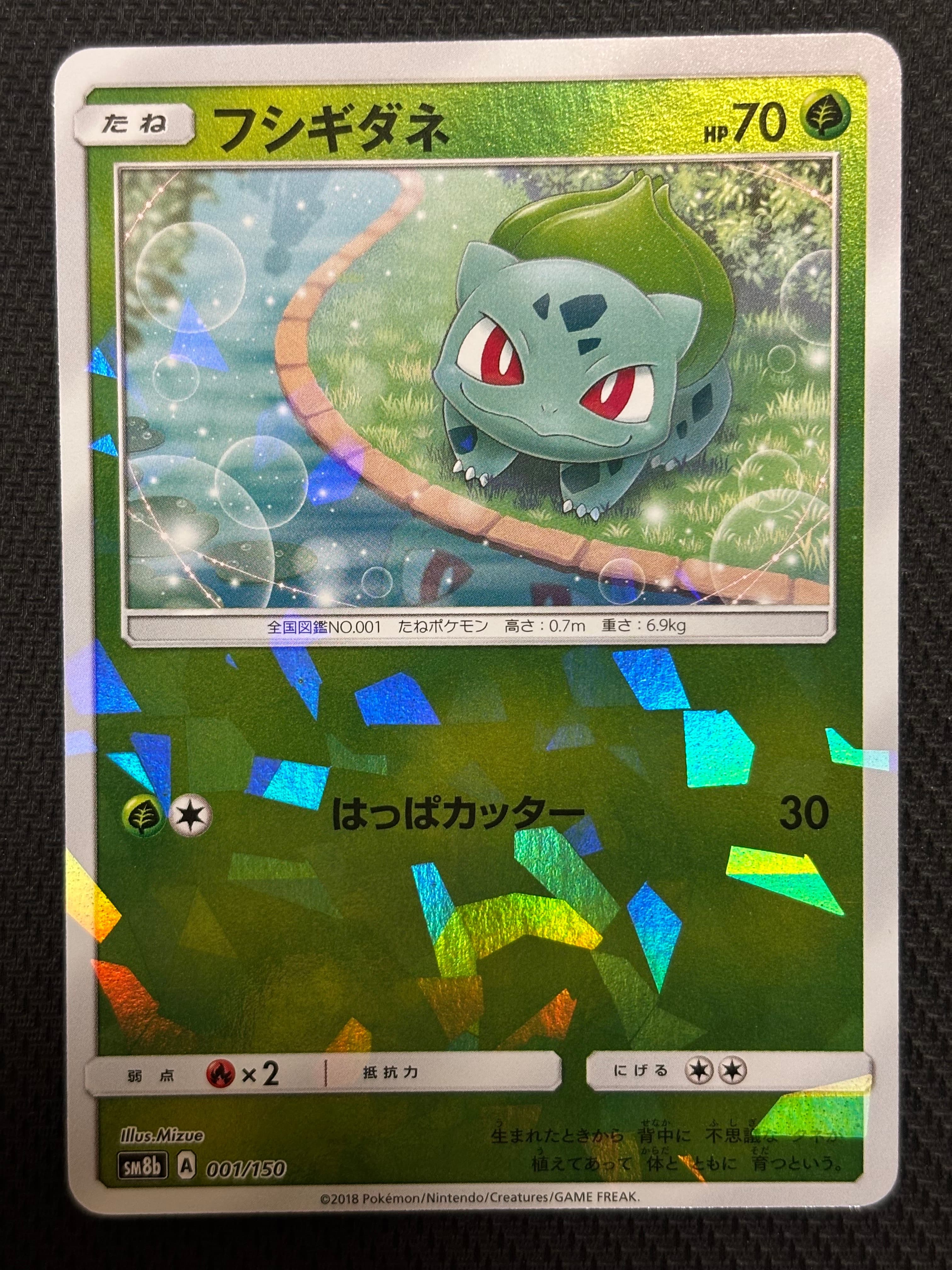 フシギダネ