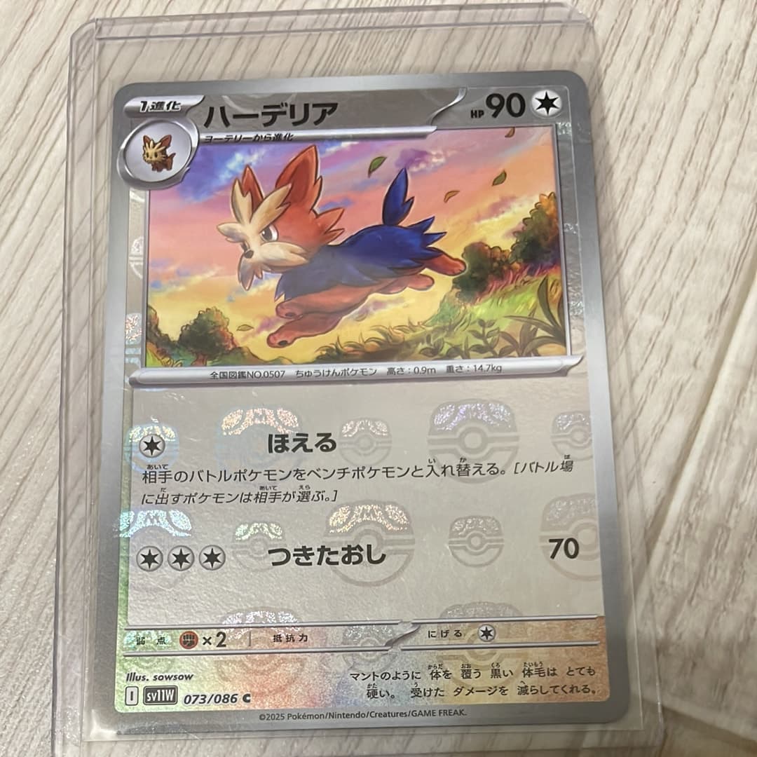 ハーデリア