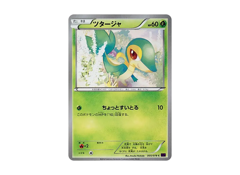 ツタージャ C :1ED [XY10 005/078](拡張パック「めざめる超王」)