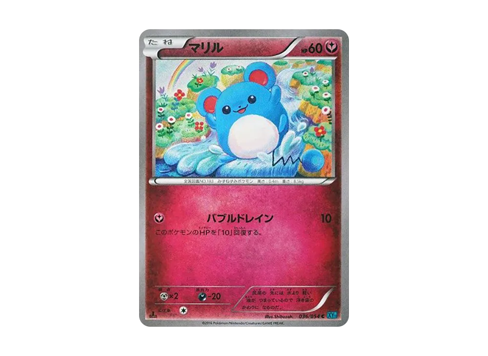 マリル C :1ED [XY11 036/054](拡張パック「冷酷の反逆者」)