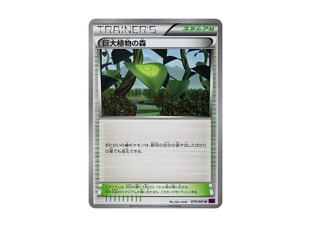 巨大植物の森