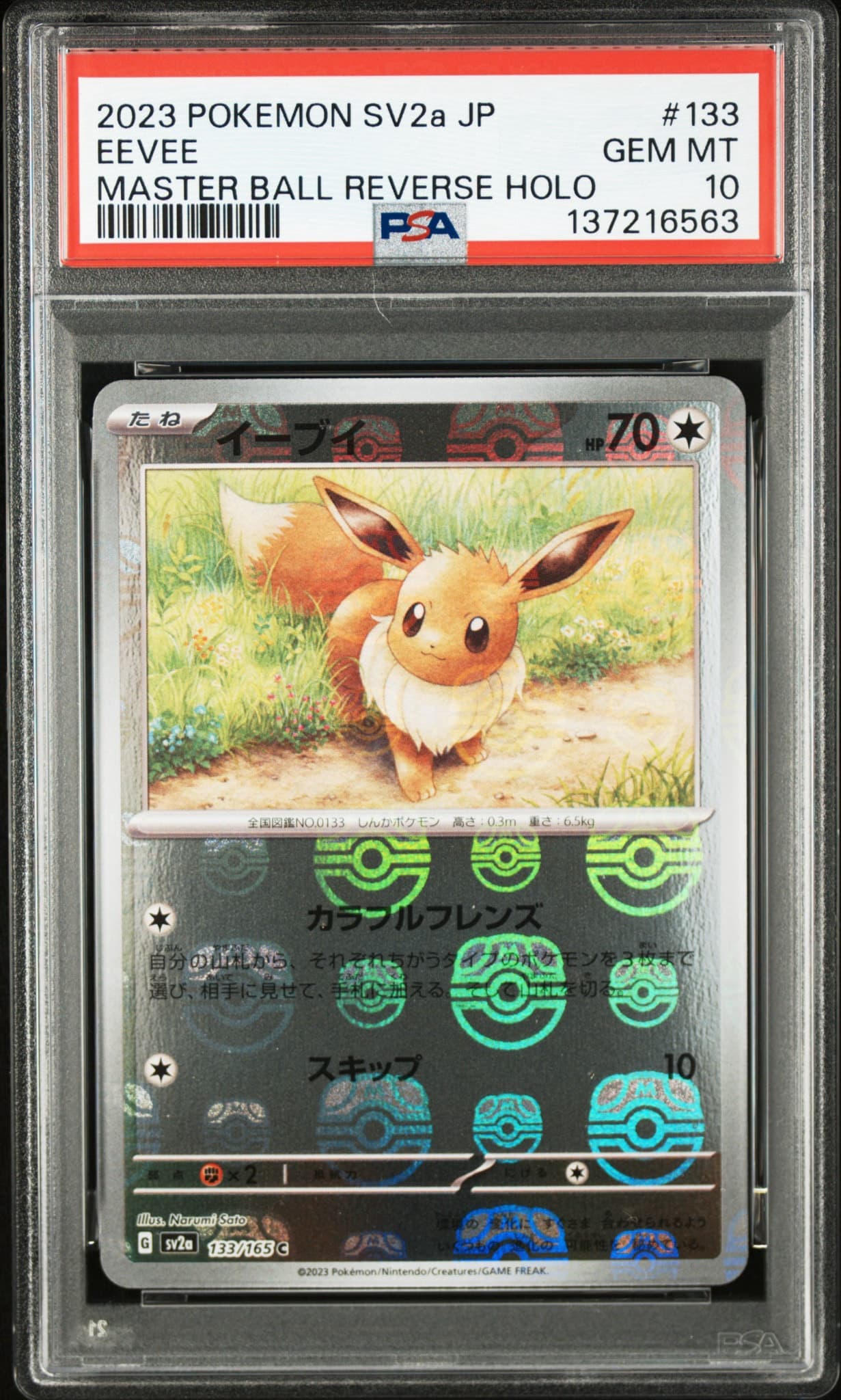 マスターボールミラー