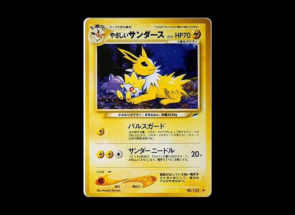 やさしいサンダース