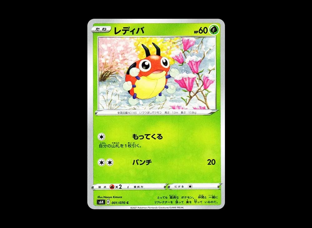 レディバ