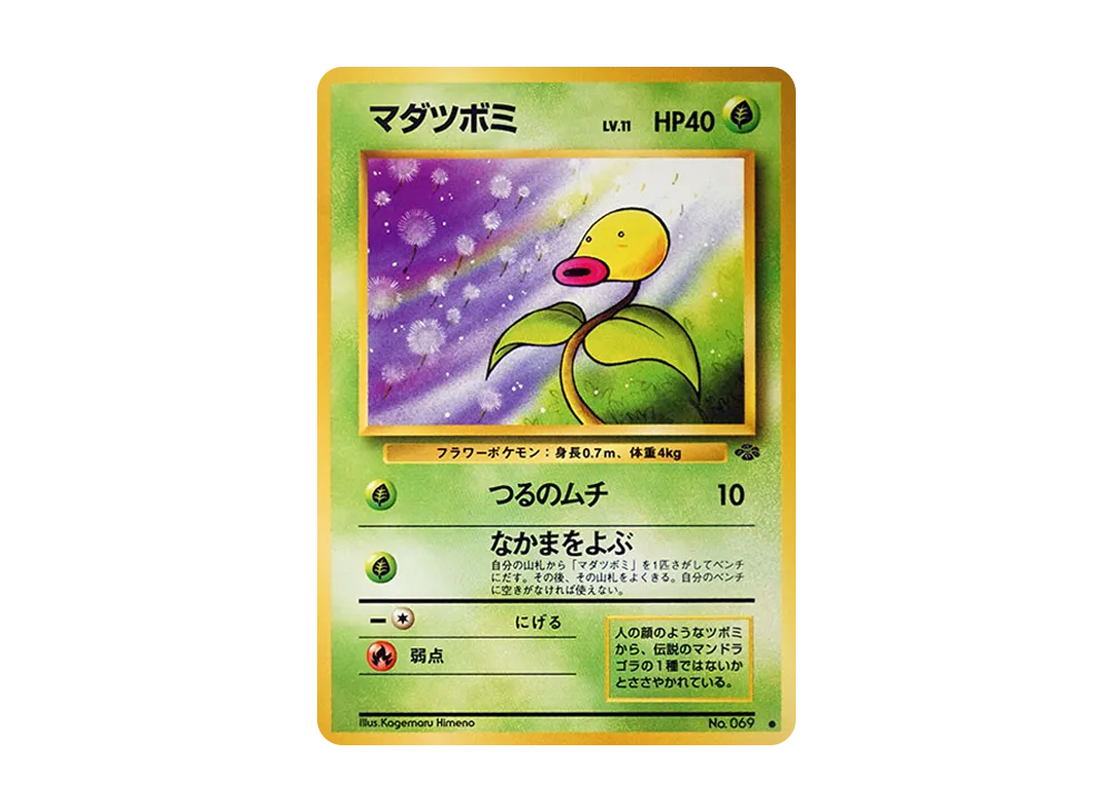 マダツボミ