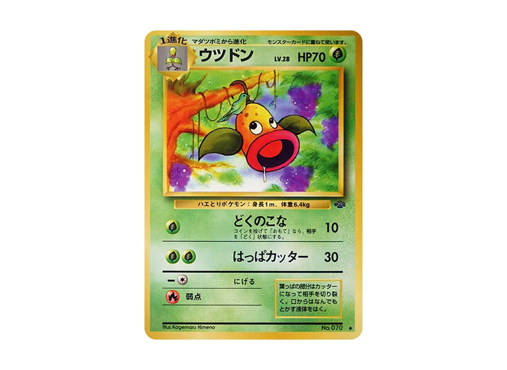 ウツドン
