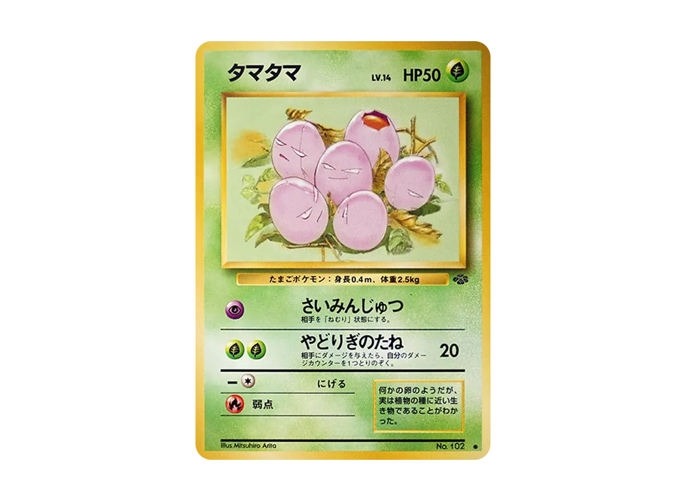タマタマ
