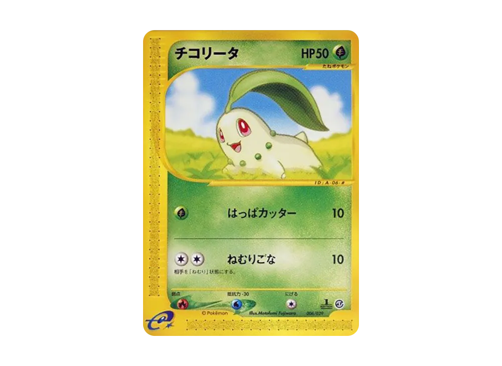 チコリータ
