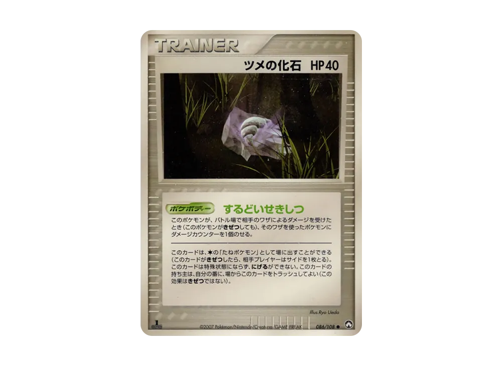 ツメの化石
