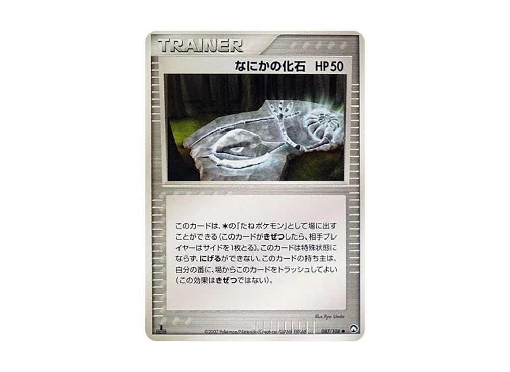 なにかの化石