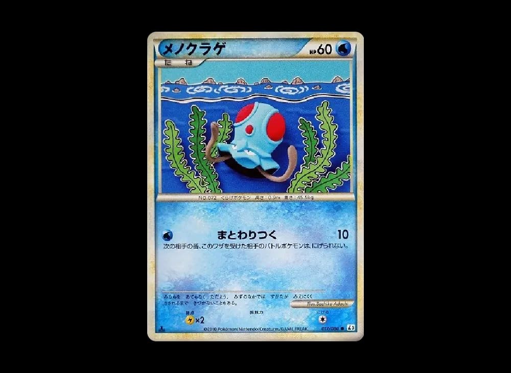 メノクラゲ
