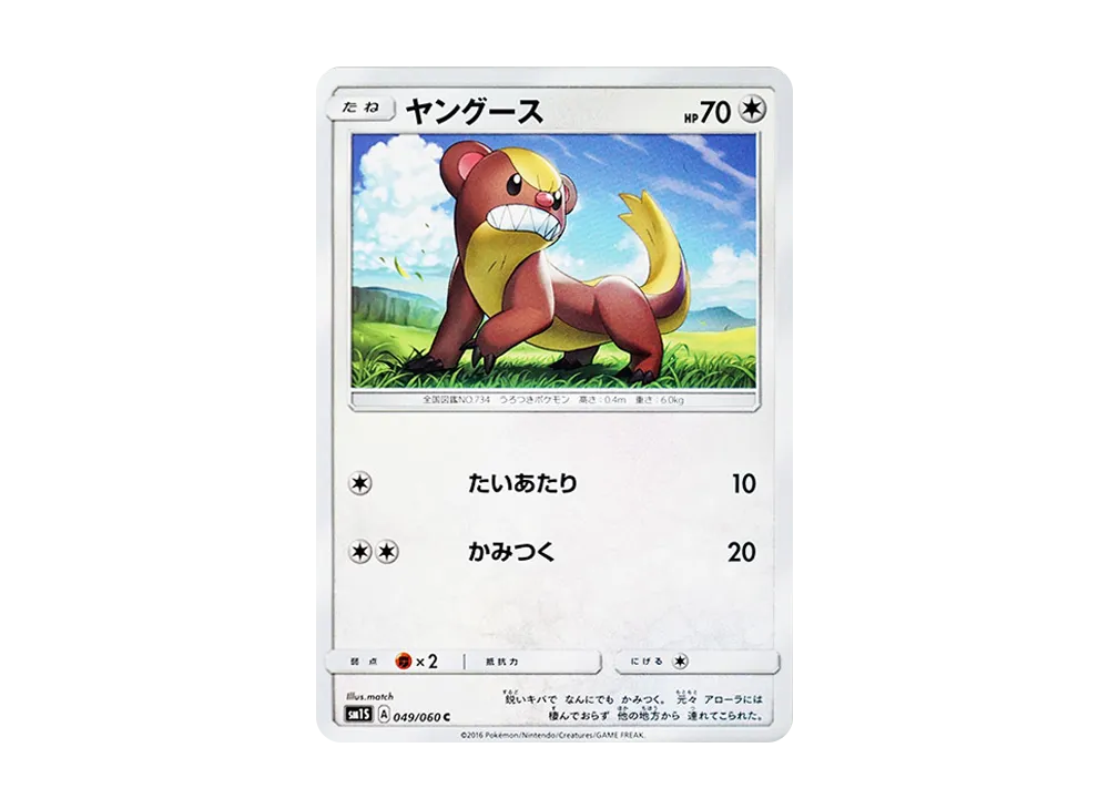 ヤングース