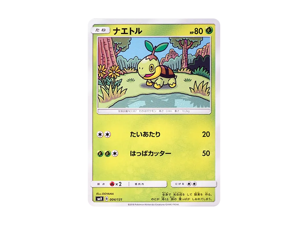 ナエトル