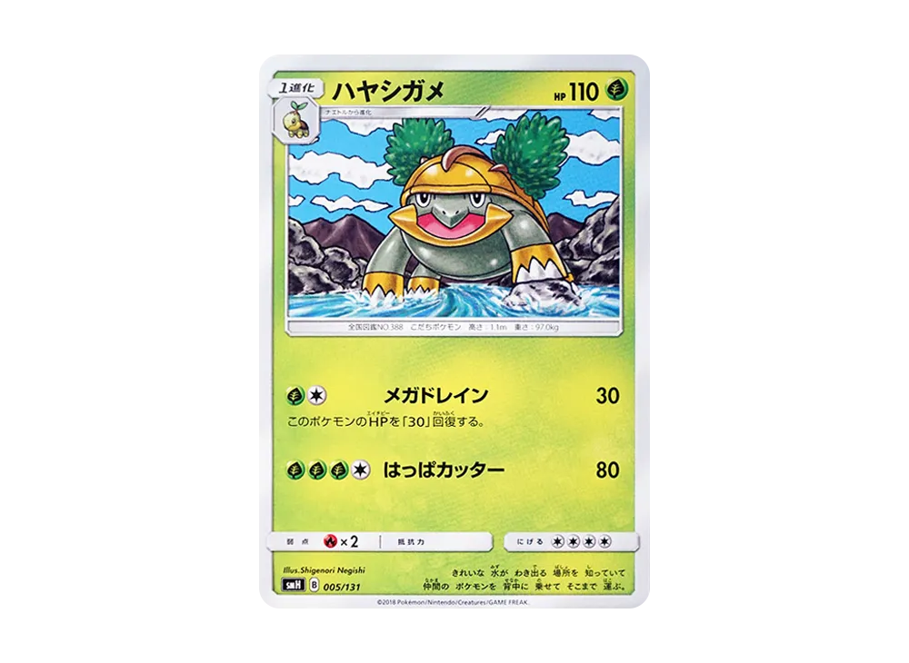 ハヤシガメ