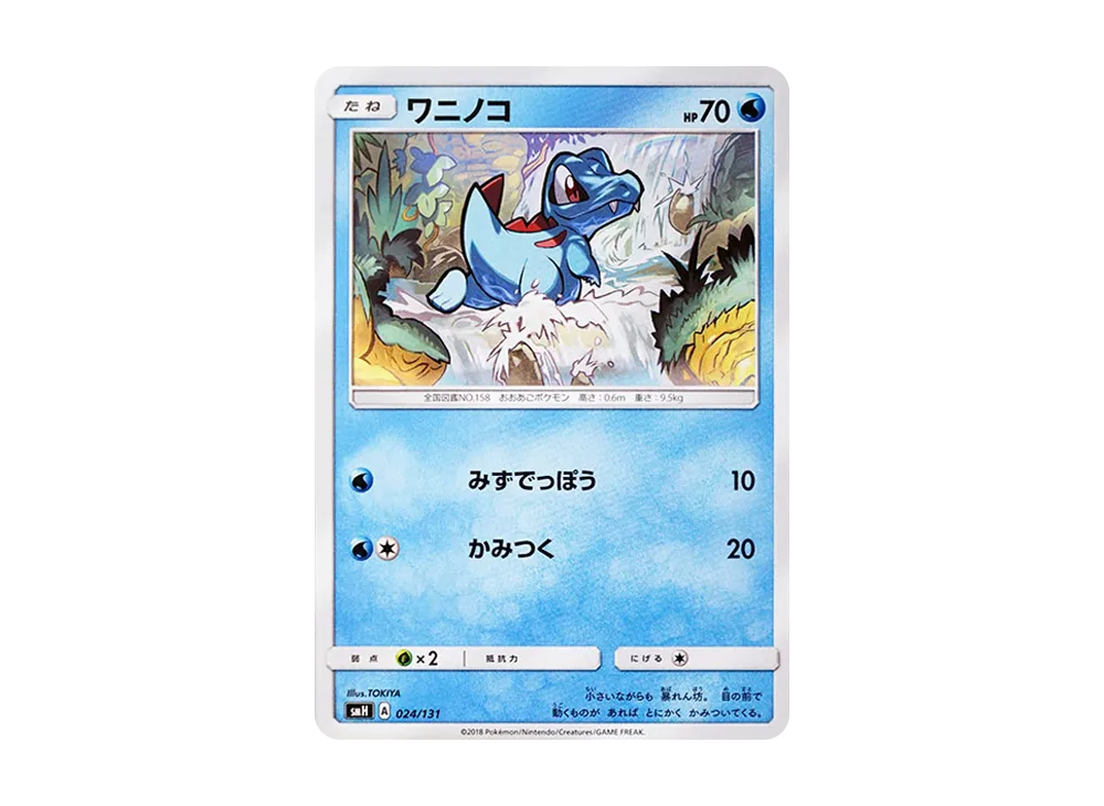 ワニノコ