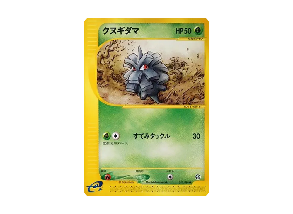 クヌギダマ