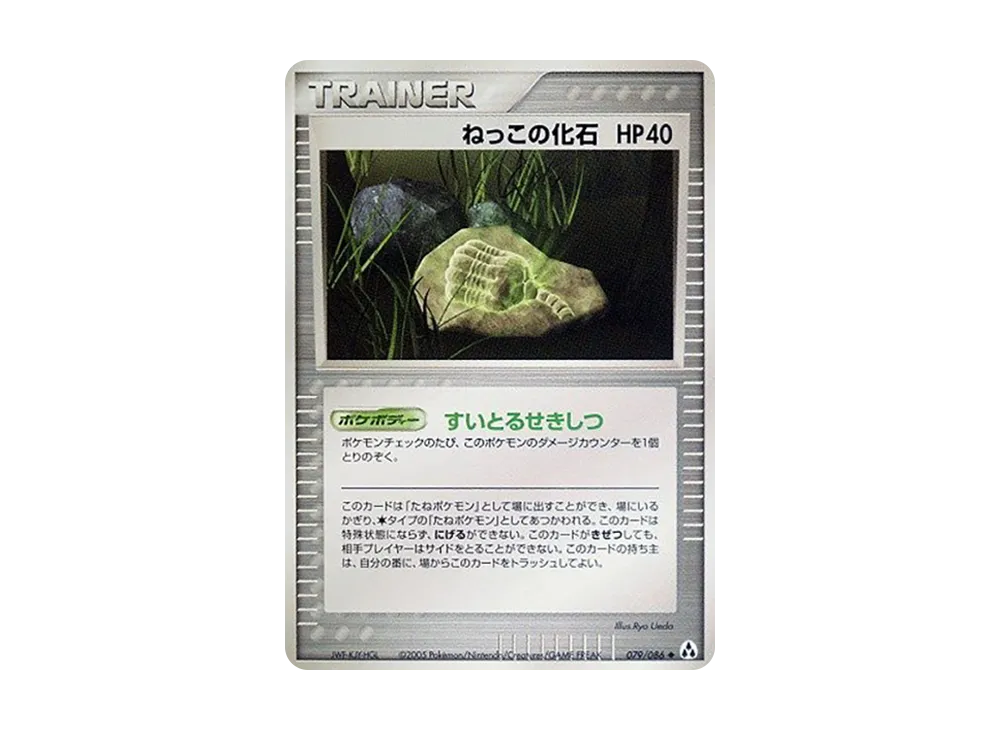 根の化石