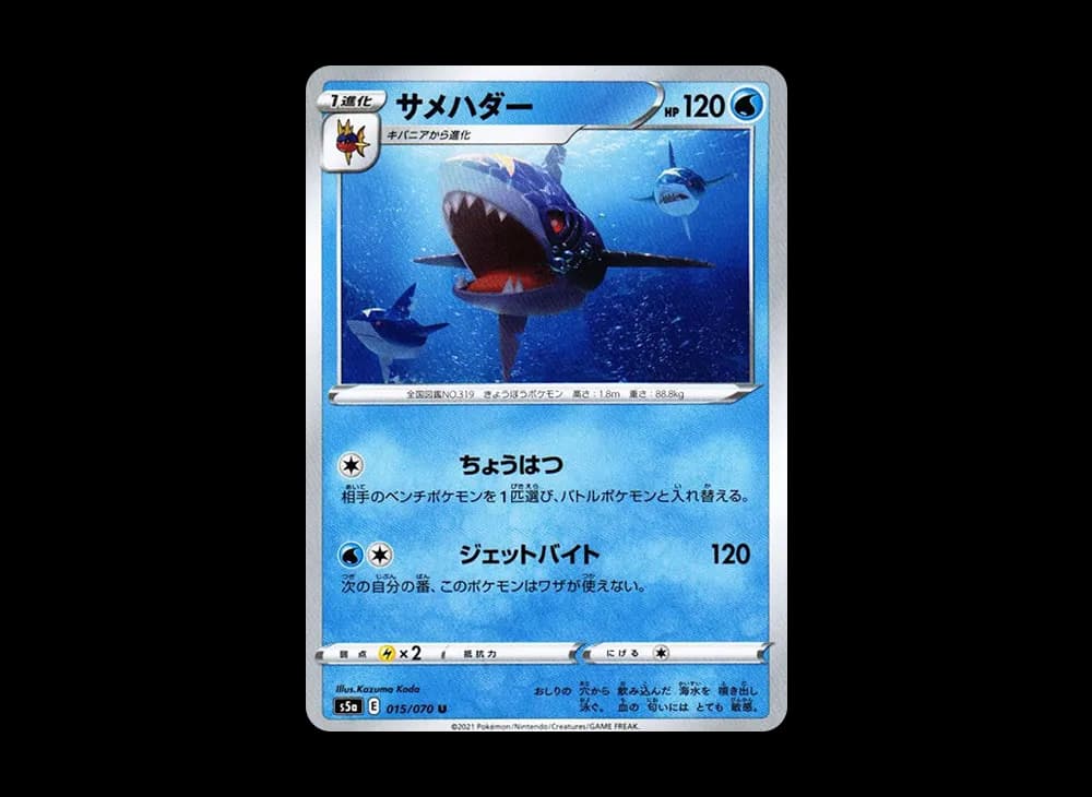 サメハダー