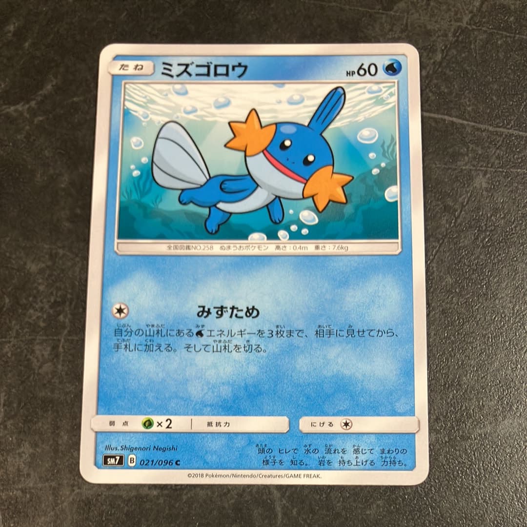 ミズゴロウ