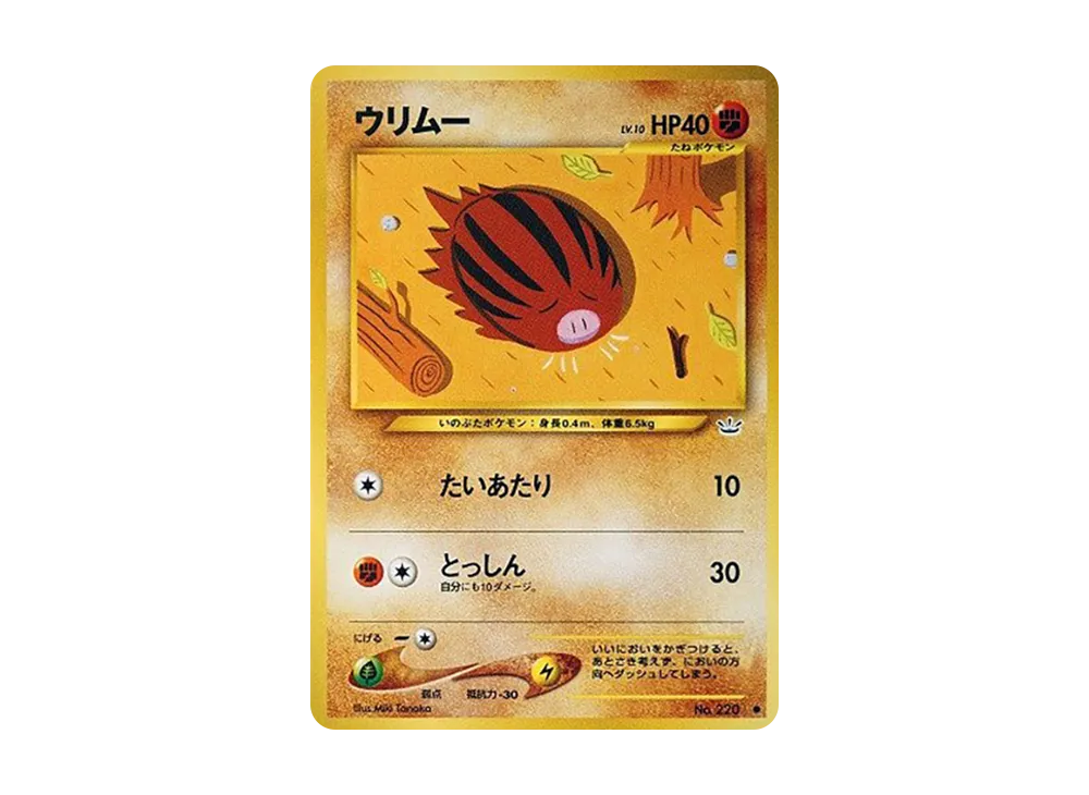 swinub